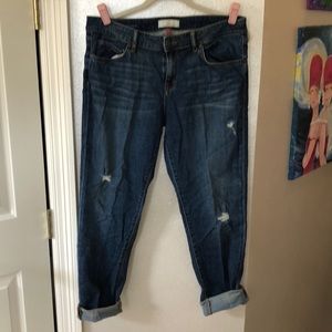 Cj by Cookie Johnson jeans